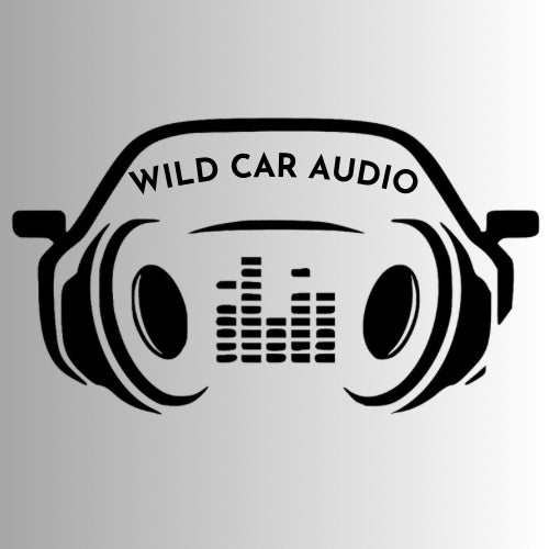 car audio logo